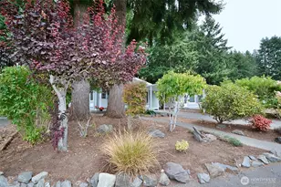 5250 College Street SE, Lacey, WA 98503 - Photo 2