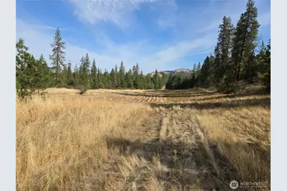 4297 Bissell Road, Hunters, WA 99137 - Photo 28