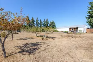 70 El Rio Ln, Sequim, WA 98382 - Photo 28