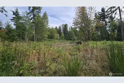 27009 170th Street E, Buckley, WA 98321 - Photo 12
