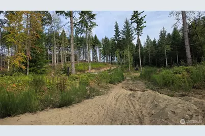 27009 170th Street E, Buckley, WA 98321 - Photo 10