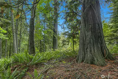 28505 SE 67th Street, Issaquah, WA 98027 - Photo 26