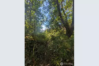 28800 97th Ave SW, Vashon, WA 98070 - Photo 2