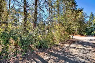 191 E Alderney St, Union, WA 98592 - Photo 28