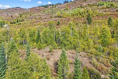 220 Catamount Ridge Lane, Ione, WA 99139 - Photo 16