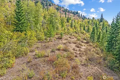 220 Catamount Ridge Lane, Ione, WA 99139 - Photo 28