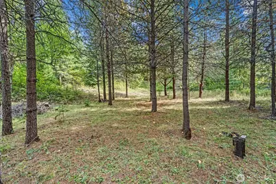 220 Catamount Ridge Lane, Ione, WA 99139 - Photo 22