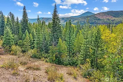 220 Catamount Ridge Lane, Ione, WA 99139 - Photo 10