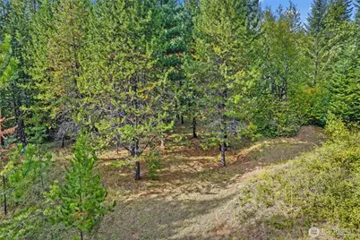 220 Catamount Ridge Lane, Ione, WA 99139 - Photo 38