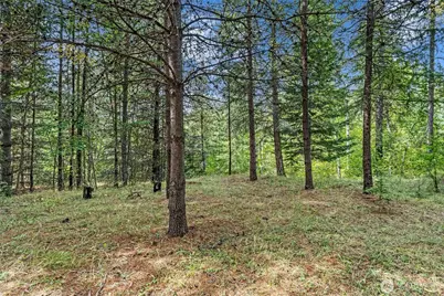220 Catamount Ridge Lane, Ione, WA 99139 - Photo 20