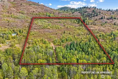 220 Catamount Ridge Lane, Ione, WA 99139 - Photo 4