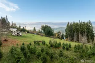 3900 NE 425th St, Woodland, WA 98674 - Photo 40