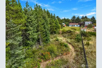 12905 N Alley, Long Beach, WA 98631 - Photo 30