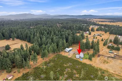 12424 Moes Road SE, Rainier, WA 98576 - Photo 12