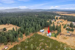 12424 Moes Rd SE, Rainier, WA 98576 - Photo 12