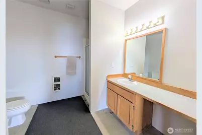 237 Switchback Road, Orcas Island, WA 98245 - Photo 30