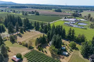 6746 Oat Coles Rd, Everson, WA 98247 - Photo 40