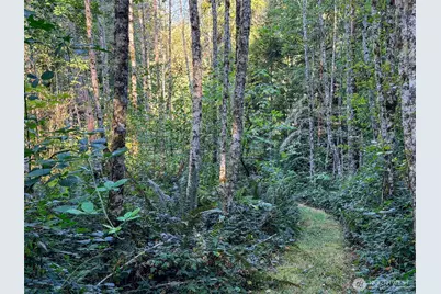 72 X Leland Valley Road W, Quilcene, WA 98376 - Photo 8
