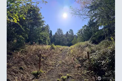 72 X Leland Valley Road W, Quilcene, WA 98376 - Photo 4