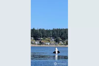 561 E Rauschert Road, Grapeview, WA 98546 - Photo 40