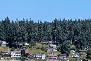 561 E Rauschert Rd, Grapeview, WA 98546 - Photo 40