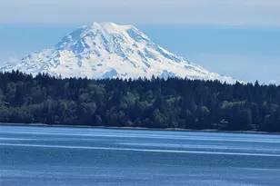 561 E Rauschert Rd, Grapeview, WA 98546 - Photo 2