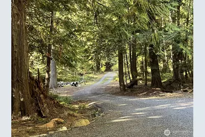154 Walker Drive, Orcas Island, WA 98245 - Photo 32