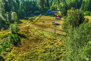13007 Kapowsin Hwy E, Graham, WA 98338 - Photo 32