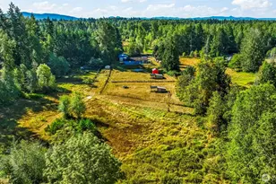 13007 Kapowsin Hwy E, Graham, WA 98338 - Photo 34