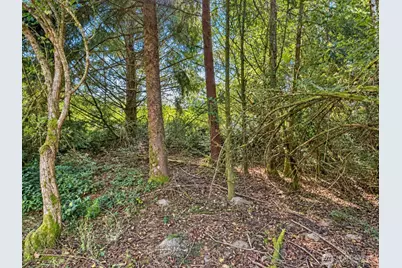 339 Redwood Court SE, Ocean Shores, WA 98569 - Photo 2