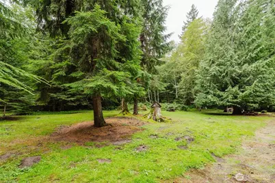 56724 380th Avenue Ct E, Ashford, WA 98304 - Photo 26