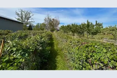 1893 Pine Creek Road, Tonasket, WA 98855 - Photo 36