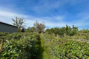 1893 Pine Creek Rd, Tonasket, WA 98855 - Photo 36