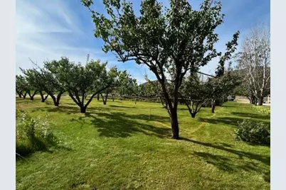 1893 Pine Creek Road, Tonasket, WA 98855 - Photo 26