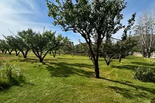 1893 Pine Creek Rd, Tonasket, WA 98855 - Photo 26