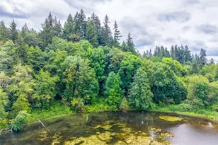 27120 NE 152nd St, Duvall, WA 98019 - Photo 12