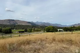 762 Twisp-Winthrop Eastside Rd, Winthrop, WA 98862 - Photo 4