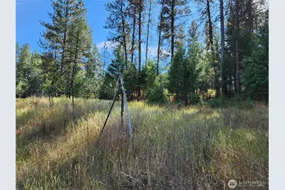 0 Tbd Pine Grove Street, Republic, WA 99166 - Photo 2