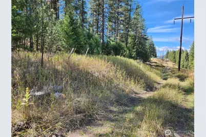 0 Tbd Pine Grove Street, Republic, WA 99166 - Photo 6