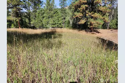 0 Tbd Pine Grove Street, Republic, WA 99166 - Photo 8