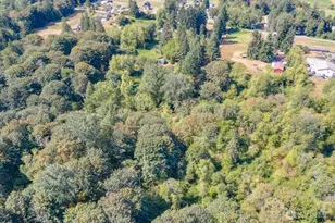12521 Roosevelt Rd, Snohomish, WA 98290 - Photo 36