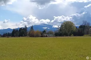 581 Boistfort Rd, Curtis, WA 98538 - Photo 2