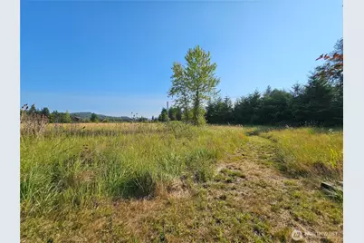 581 Boistfort Rd, Curtis, WA 98538 - Photo 6
