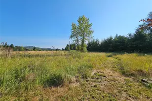 581 Boistfort Rd, Curtis, WA 98538 - Photo 6