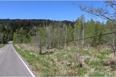 0 Xx Valley Hwy 9, Acme, WA 98220 - Photo 8