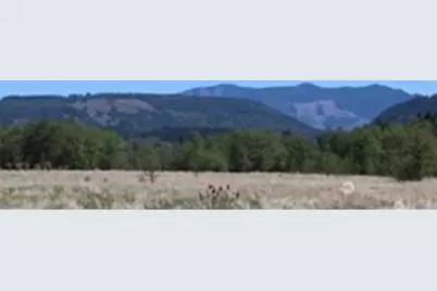 0 Xx Valley Hwy 9, Acme, WA 98220 - Photo 2