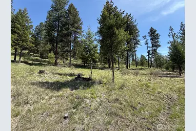 5 Starvation Ridge Road, Wauconda, WA 98859 - Photo 14