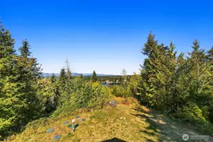 421 W Satsop Dr, Elma, WA 98541 - Photo 12