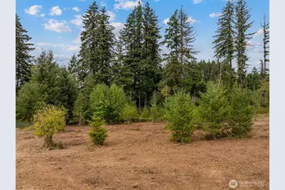 489 Yates Road, Chehalis, WA 98532 - Photo 14