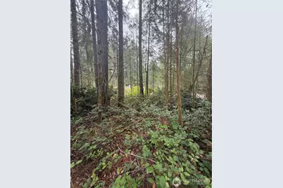 11928 Country Club Drive, Anderson Island, WA 98303 - Photo 4